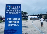 包含波尔多中场特拉奥雷已经康复参赛的词条