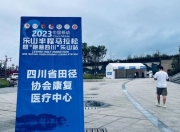 包含波尔多中场特拉奥雷已经康复参赛的词条