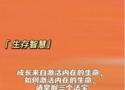 唤醒和激活区别 唤醒功能有什么用 