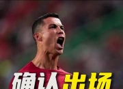 葡萄牙队轻取爱尔兰，小组领先优势巩固的简单介绍
