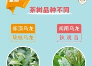 台湾版和港版的区别 台湾版和港版的区别白兰氏鸡精 