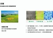 AI如何提高电信行业的服务质量