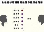 之间和到的区别 到和至在范围上的区别 