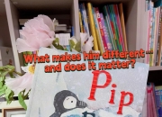 pipbp区别 pips bp区别 