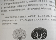 过程和事物的区别 过程和事物的区别是什么 