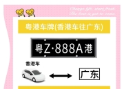 车牌df区别 df车牌怎么理解 