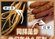 叁和参的区别 参和叁有什么区别 