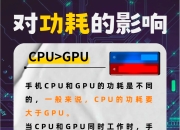 区别gpu 区别新民和旧民的根本标志是什么 