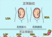 位图和区别 位图和图片的区别 