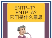 t和p的区别 拉拉t和p的区别 