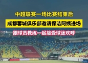 关于比赛结束后，球迷尽情欢呼庆祝，热血沸腾！的信息