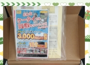 3ds版本区别