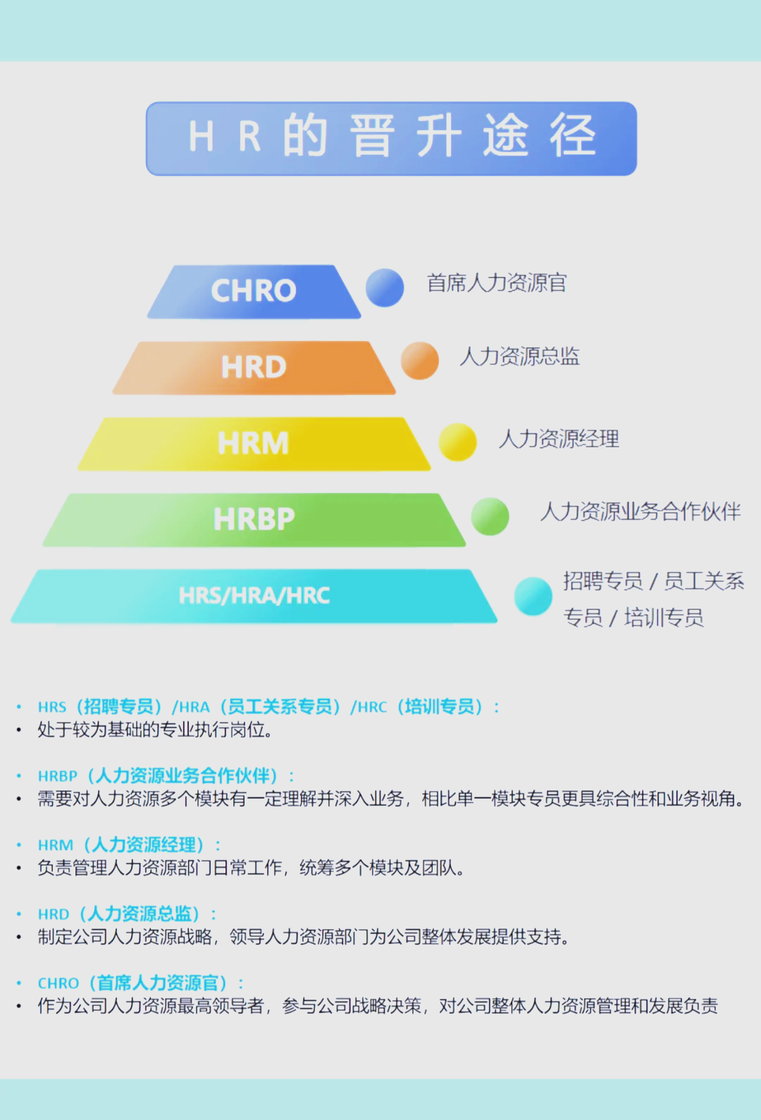 关于ML岗位：职业发展路线图的信息
