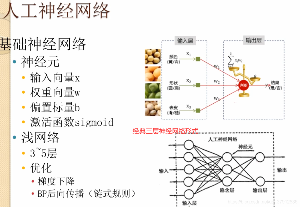 人工神经网络的基本构造
