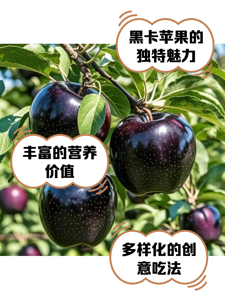 黑苹果区别