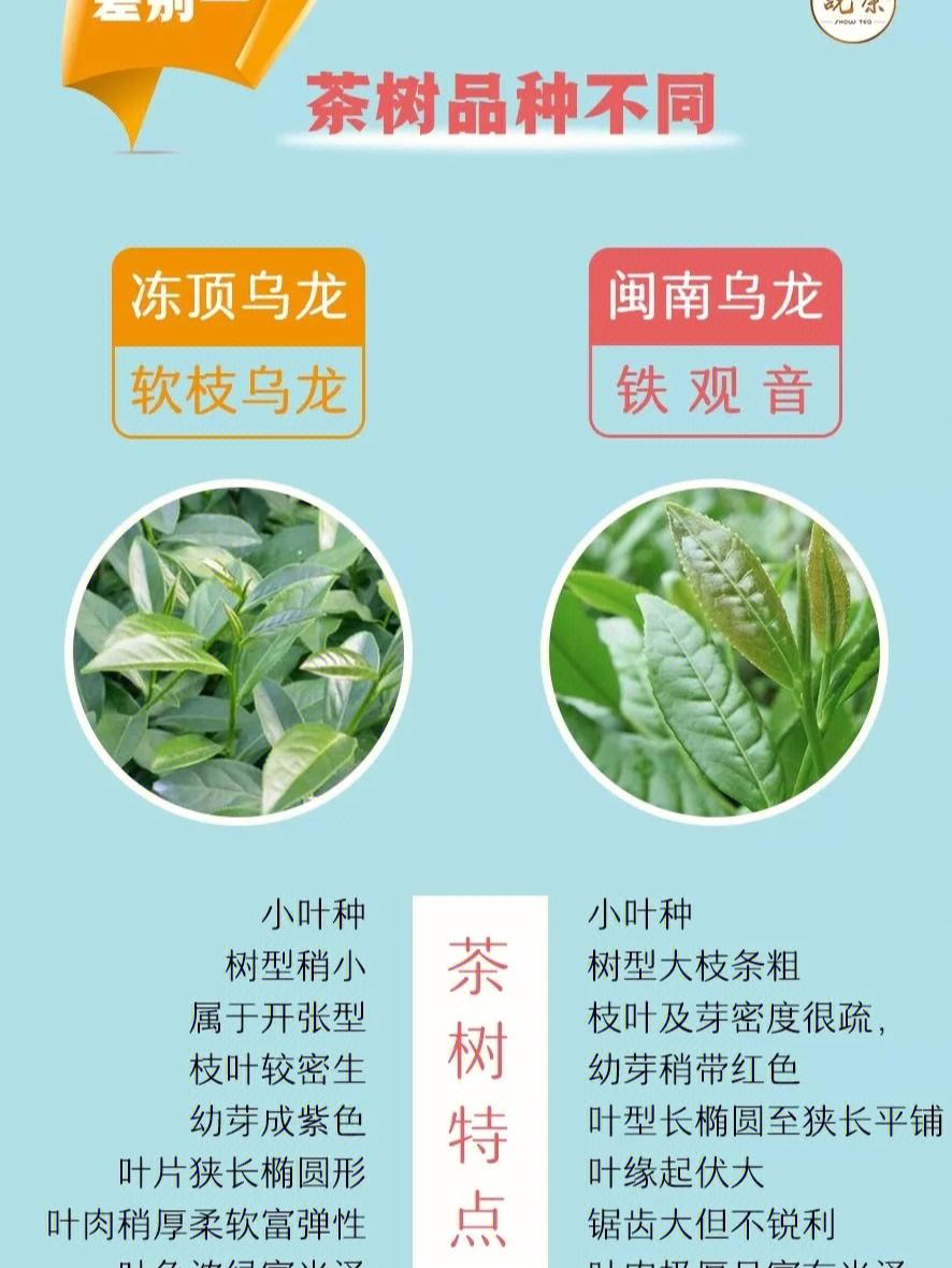 台湾版和港版的区别 台湾版和港版的区别白兰氏鸡精 