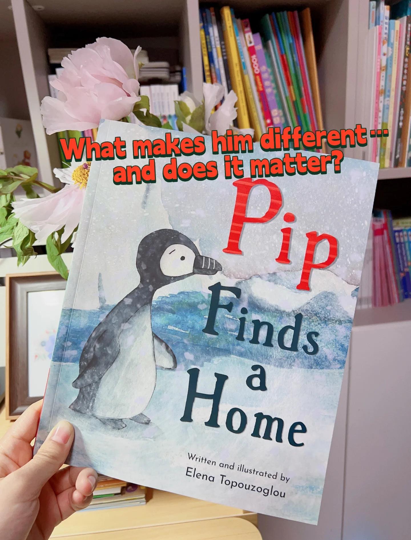 pipbp区别 pips bp区别 
