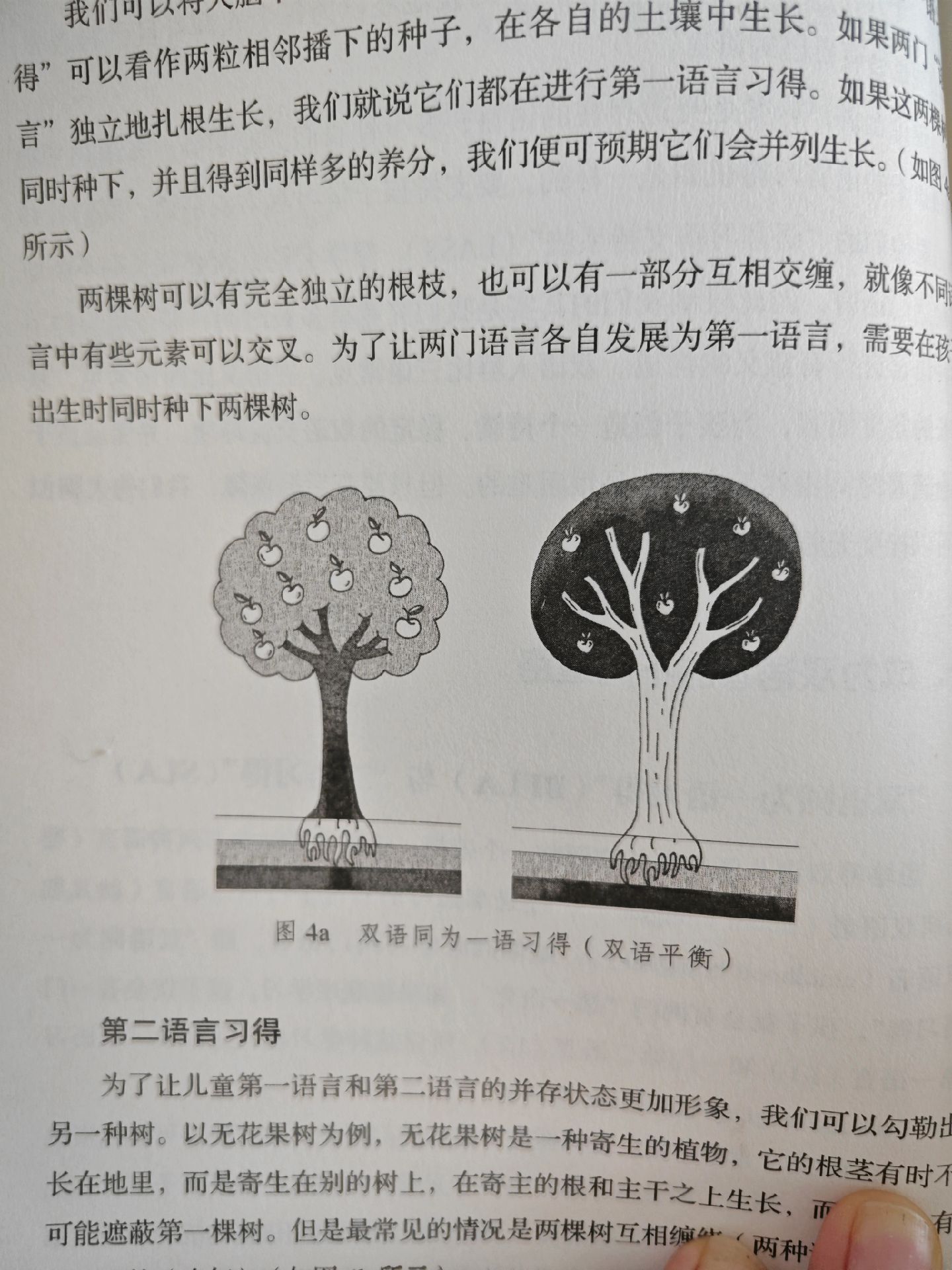 过程和事物的区别 过程和事物的区别是什么 