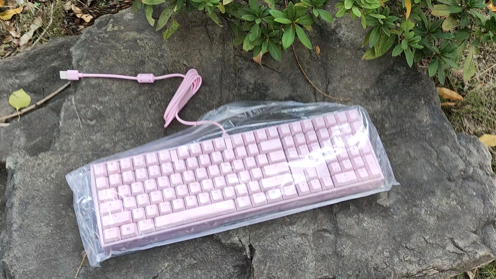 cherrymxboard区别 cherry mx和cherry 