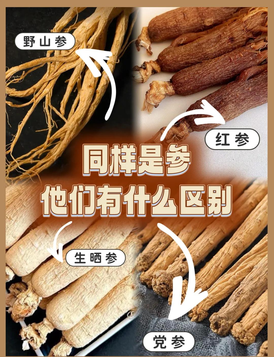 叁和参的区别 参和叁有什么区别 