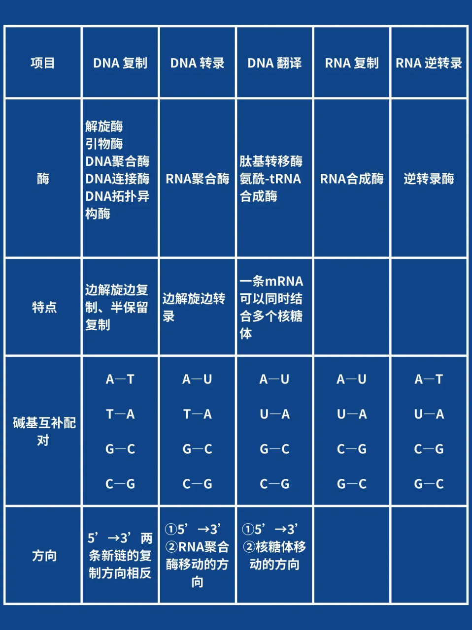区别copy 区别confused和confusing 