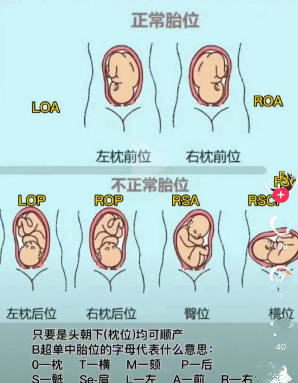 位图和区别 位图和图片的区别 