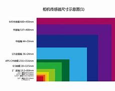depictportray的区别 depiction和portrayal 