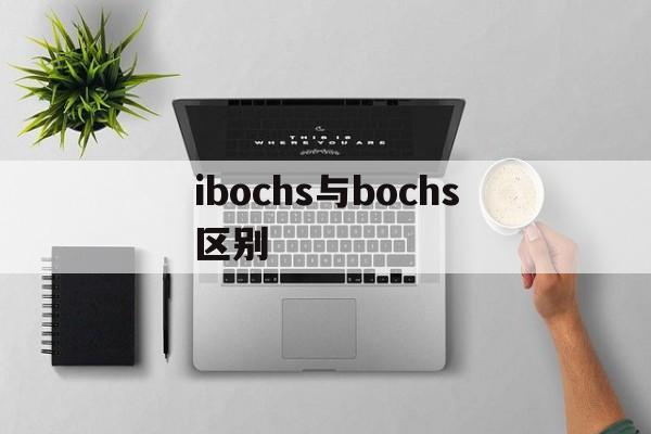 ibochs与bochs区别 bochs和bochs core有什么区别 
