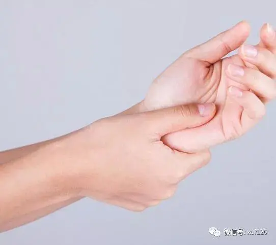 ALG和ATG区别 aucg和atcg的区别 