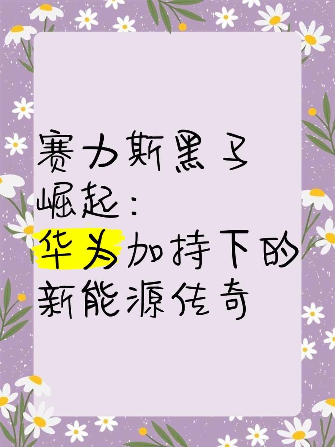 黑马崛起，新兴力量崭露头角引人瞩目的简单介绍
